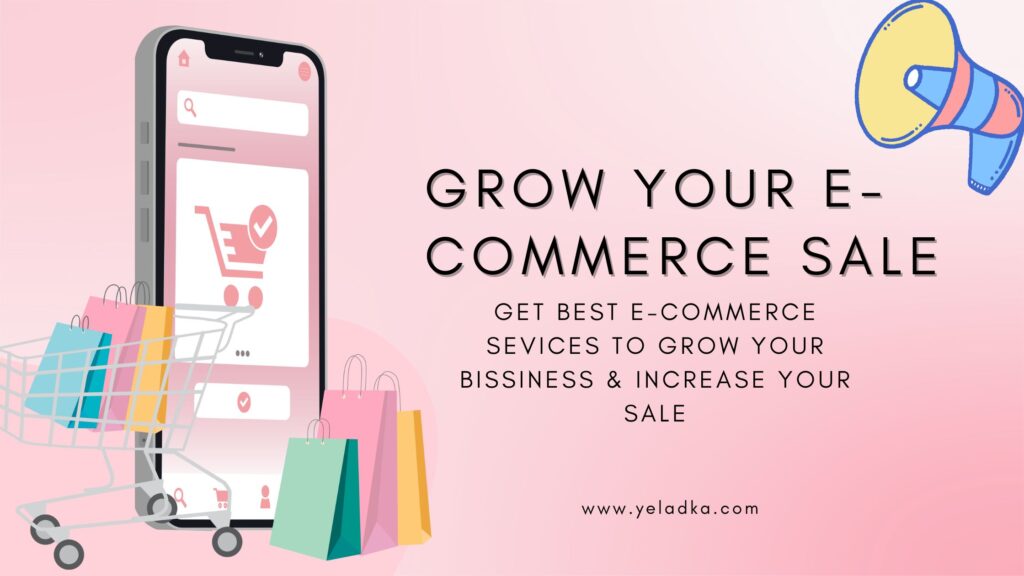 Online Business and E-Commerce services